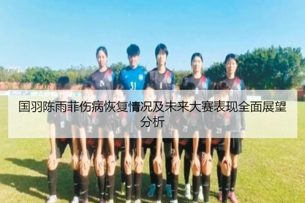 国羽陈雨菲伤病恢复情况及未来大赛表现全面展望分析